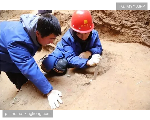 顶级考古精细化清理遗迹保护:他是如何通过工具避震的