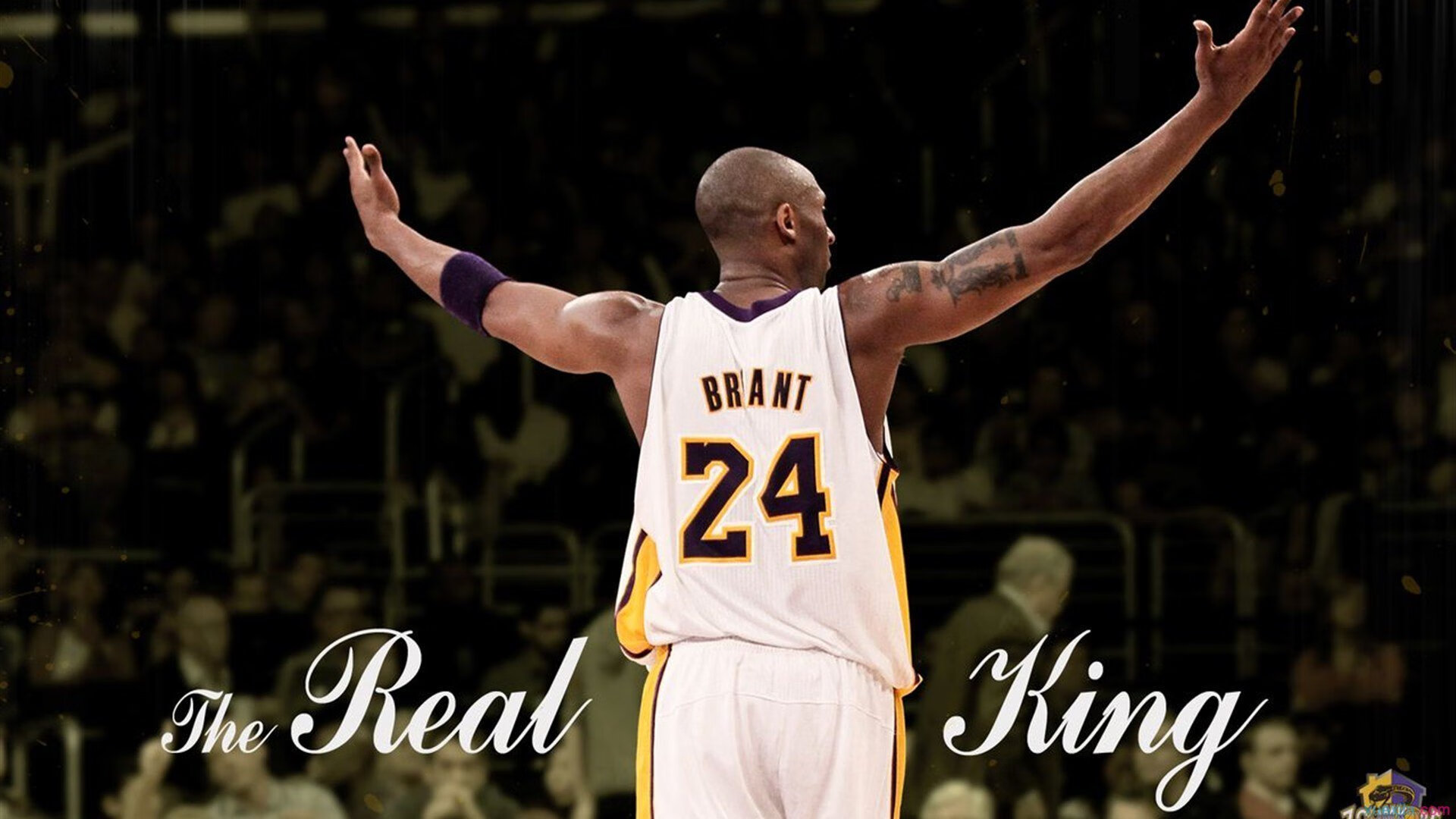 星空·体育app下载-主场气氛热烈观众打出创意标语为球队送上全场支持，球队主题